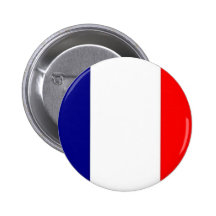 french_flag pins