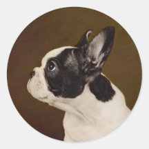 Frenchie Pegatina Redonda