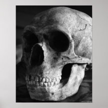 Frenología - impresión de la bella arte impresiones