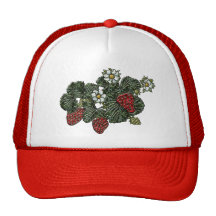 Fresa Gorro De Camionero