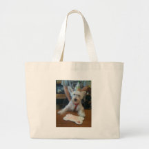 ¡Fresco! Bolsas