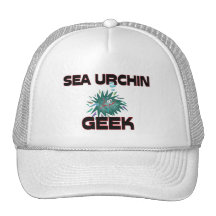 Friki del erizo de mar gorros bordados