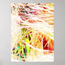 Fronda de la palma posters