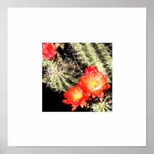 Frontera floreciente del blanco del cactus impresiones