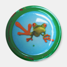 Frosch Magnete