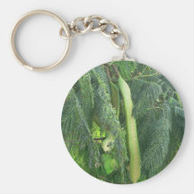 Fruta de la vaina llavero