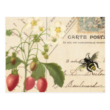 Fruta del vintage y postal floral de la postal…