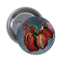 Fruta y hojas de otoño del Dogwood floreciente Pins