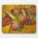 Frutas del último otoño alfombrillas de ratones