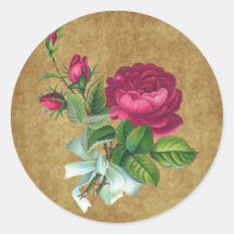 Fucsia del vintage subió etiqueta