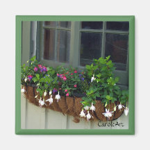 "Fucsias blancos de la ventana verde " Iman De Frigorífico