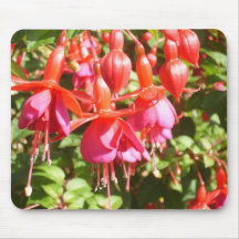 Fucsias Tapete De Ratón
