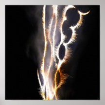 Fuego artificial impresiones