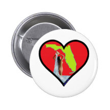 fuente de la Florida de la juventud Pins