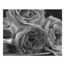 Fuente de rosas impresion fotografica