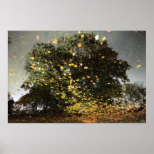 Fuerza de la tormenta posters