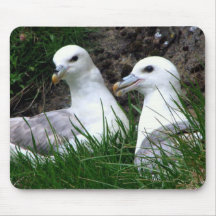 "Fulmars en amor " Tapete De Ratones