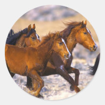 Funcionamiento de los caballos etiquetas  
