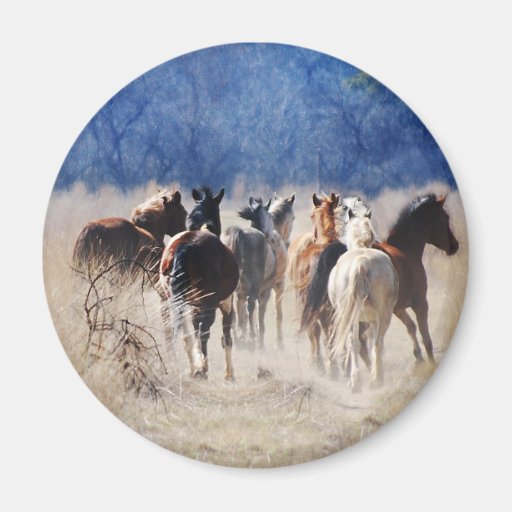 Funcionamiento de los caballos salvajes imanes de nevera