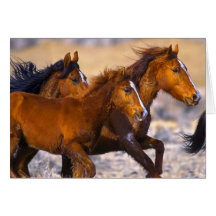 Funcionamiento de los caballos tarjetón