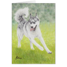 Funcionamiento del husky siberiano felicitacion 