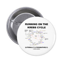 Funcionamiento en el ciclo de Krebs (humor de la c Pins