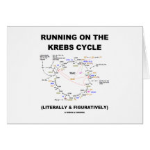 Funcionamiento en el ciclo de Krebs (humor de la c Tarjetón