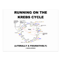 Funcionamiento en el ciclo de Krebs (humor de la c Tarjeta Postal