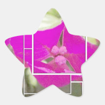 funkyflower2_pe.jpg colcomania cuadrada