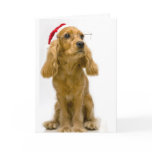 Funny Christmas Card