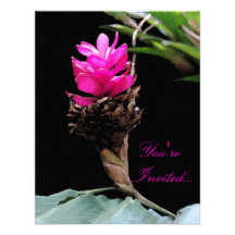 Fuschia floral anuncio