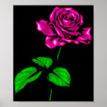 Fuschia subió el poster