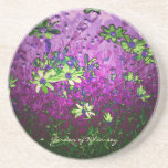 G005 práctico de costa - el jardín de la rareza posavasos manualidades