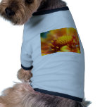 gaillardia prenda mascota