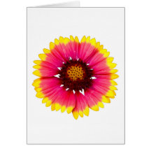 Gaillardia Tarjetas