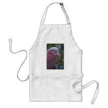 Galah Delantal