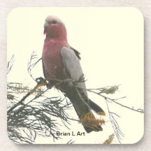 Galah hermoso posavasos de bebida