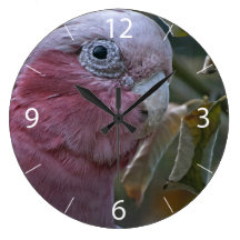 Galah Relojes De Pared