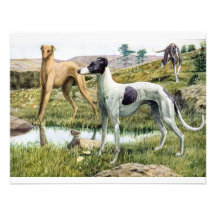 Galgo Anuncio Personalizado