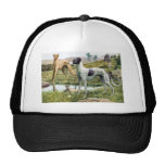 Galgo Gorra