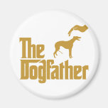 Galgo Imanes