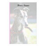 Galgo inmóvil papelería personalizada