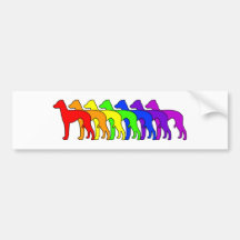 Galgo italiano del arco iris etiqueta de parachoque