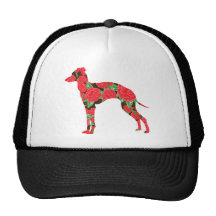 Galgo italiano gorro