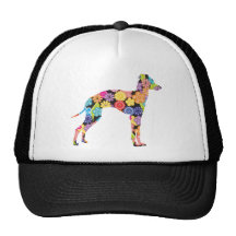 Galgo italiano gorros  