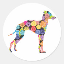 Galgo italiano pegatinas  