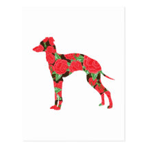 Galgo italiano tarjeta postal