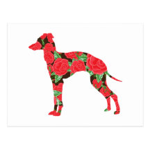 Galgo italiano tarjetas postales