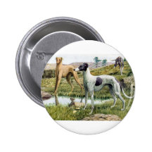 Galgo Pin