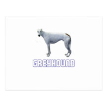 Galgo Postal